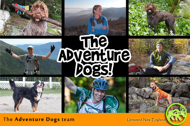 The Adventure Dogs
